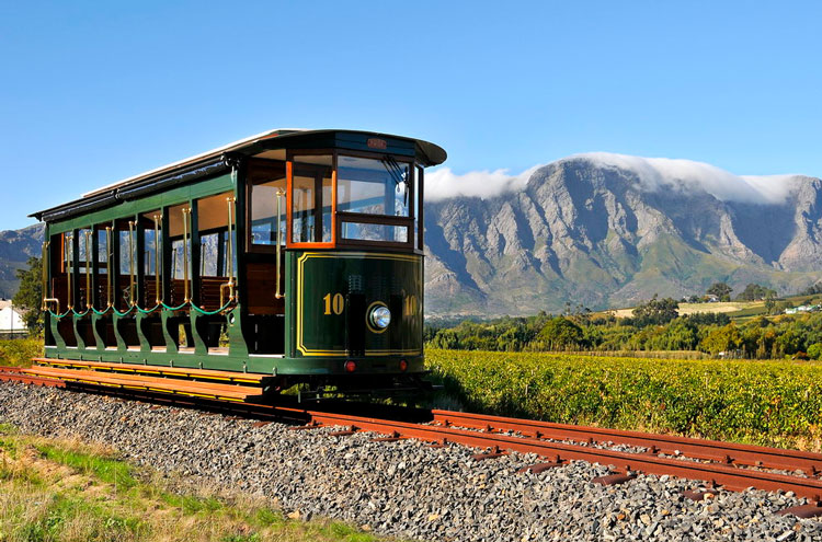 Franschhoek Wine Tram - (Franschhoek Terminal)