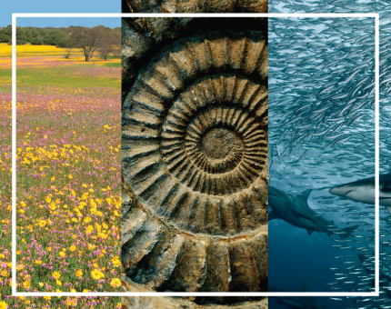 experience our heritage
